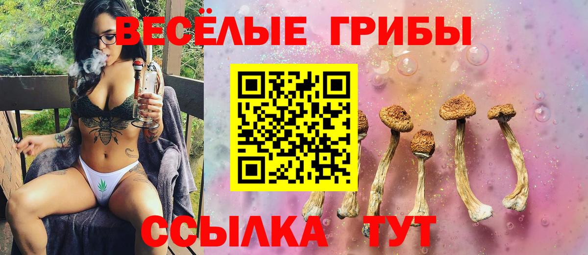 Галлюциногенные грибы Cubensis Мыски